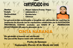 n-franco-v