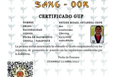 neyder-misael-ontaneda-chipe-tkd