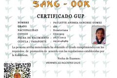 diploma-uno-solo