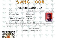 diploma-uno-solo