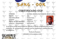 diploma-uno-solo