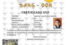 samuel-valdivieso-santos-tkd