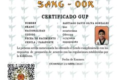 santiago-david-oliva-gonzalez-tkd.png