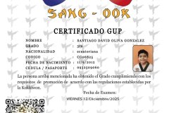 diploma-uno-solo