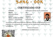 diploma-uno-solo
