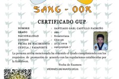 santiago-gael-castillo-pazmiño-tkd