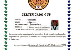 t-alcivar-m-tkd