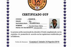 t-choez-p-tkd